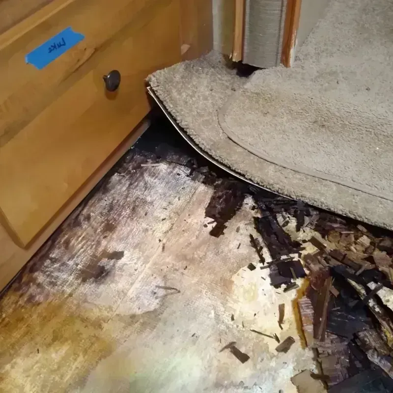 Wood Floor Water Damage in Hot Spring County, AR